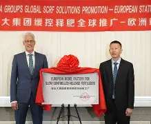 多特蒙德vs蒙特雷