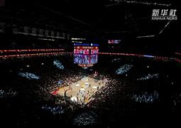 金年会登录入口-布鲁克林有棵树电影